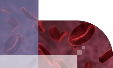 VTE防治管理系统